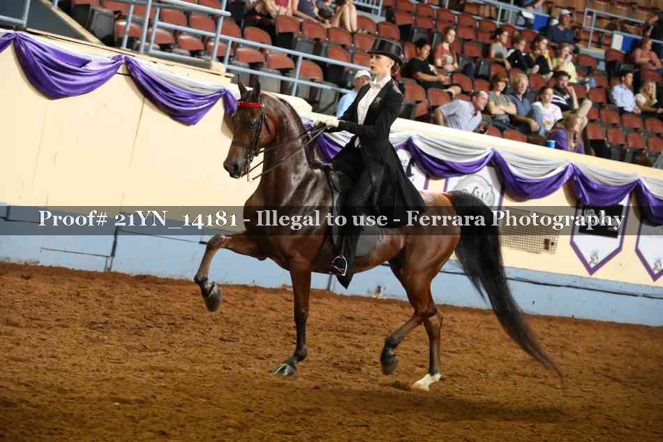Proof 21YN_14181