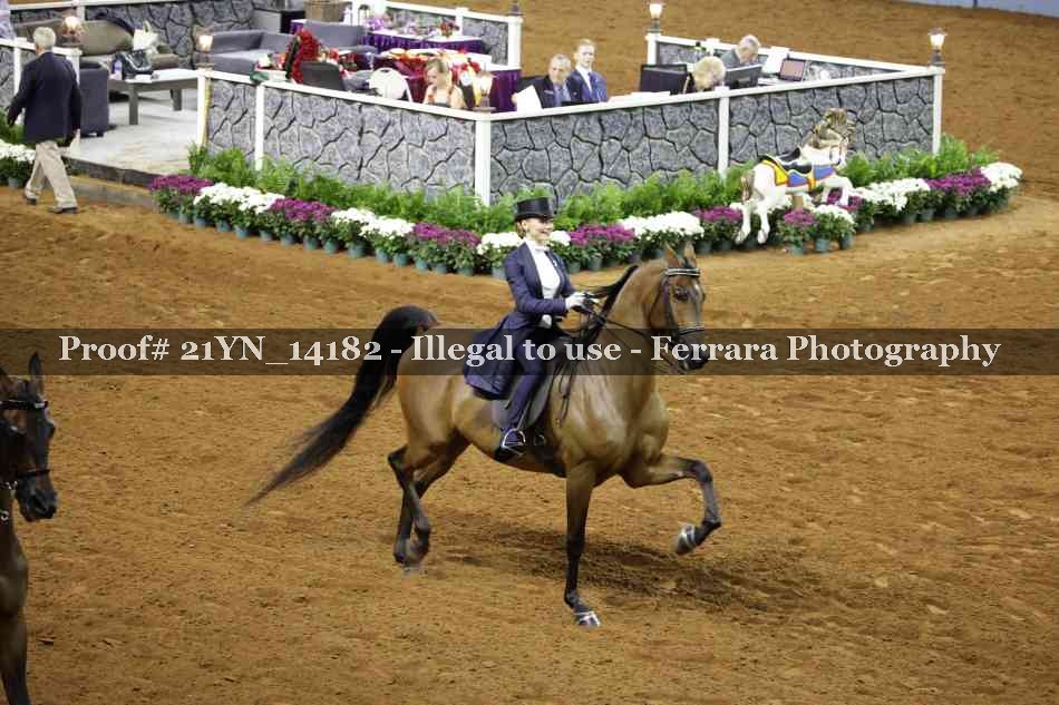Proof 21YN_14182