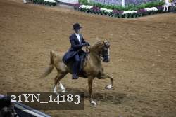 21YN_14183 proof