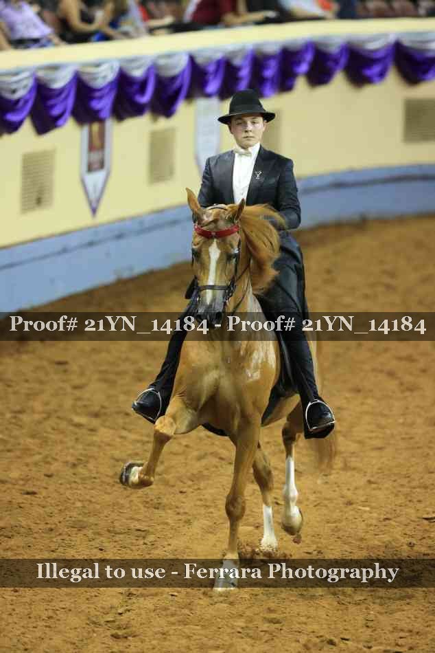Proof 21YN_14184