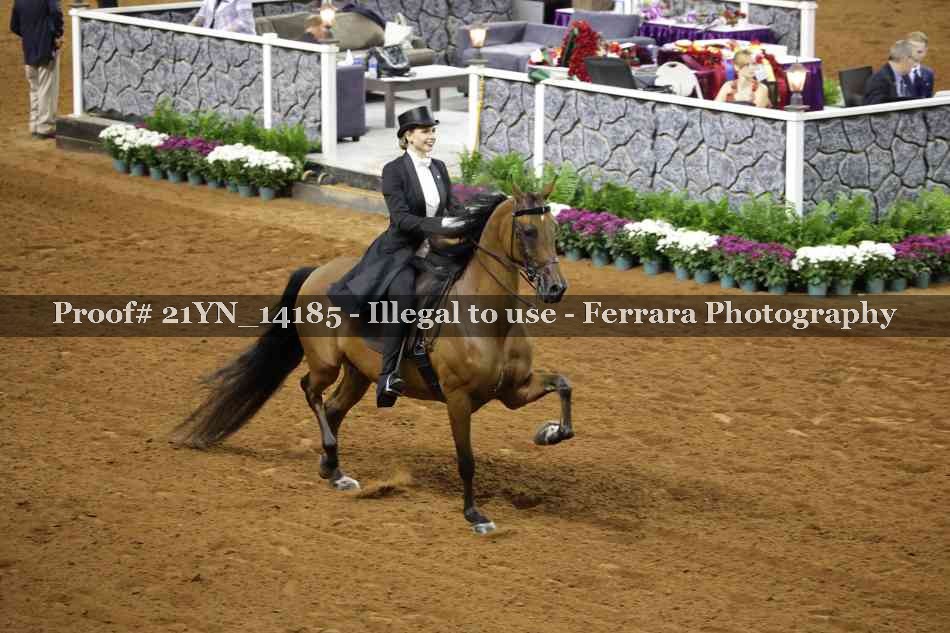 Proof 21YN_14185