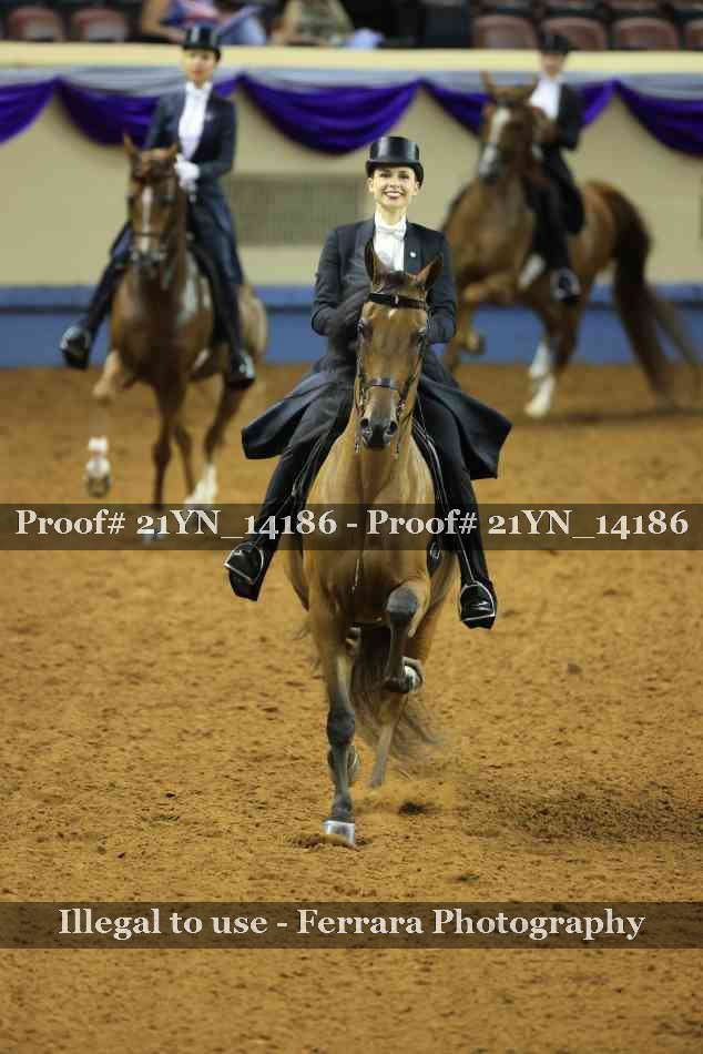 Proof 21YN_14186