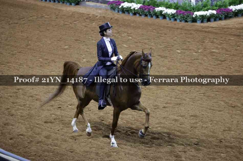 Proof 21YN_14187