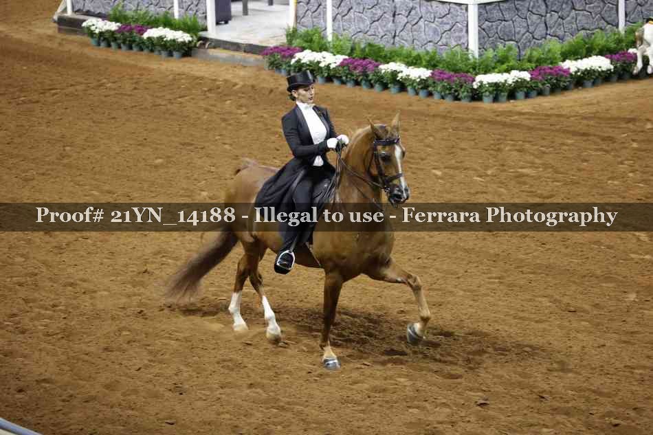 Proof 21YN_14188