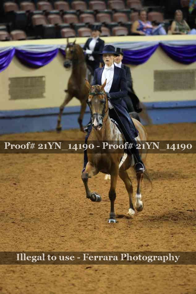 Proof 21YN_14190