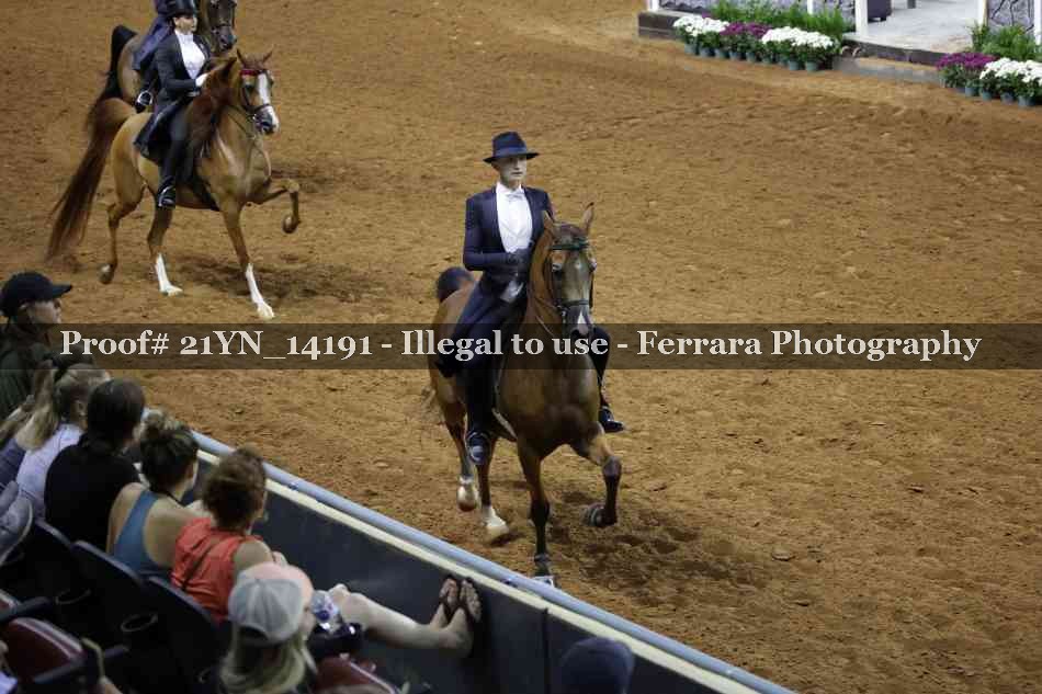 Proof 21YN_14191