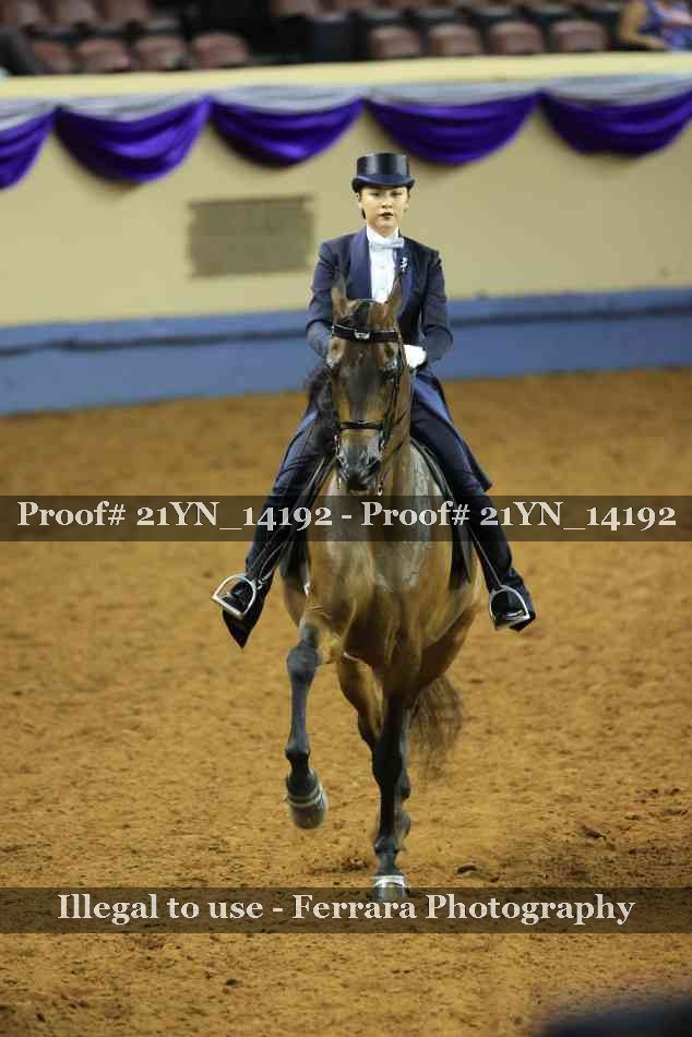 Proof 21YN_14192