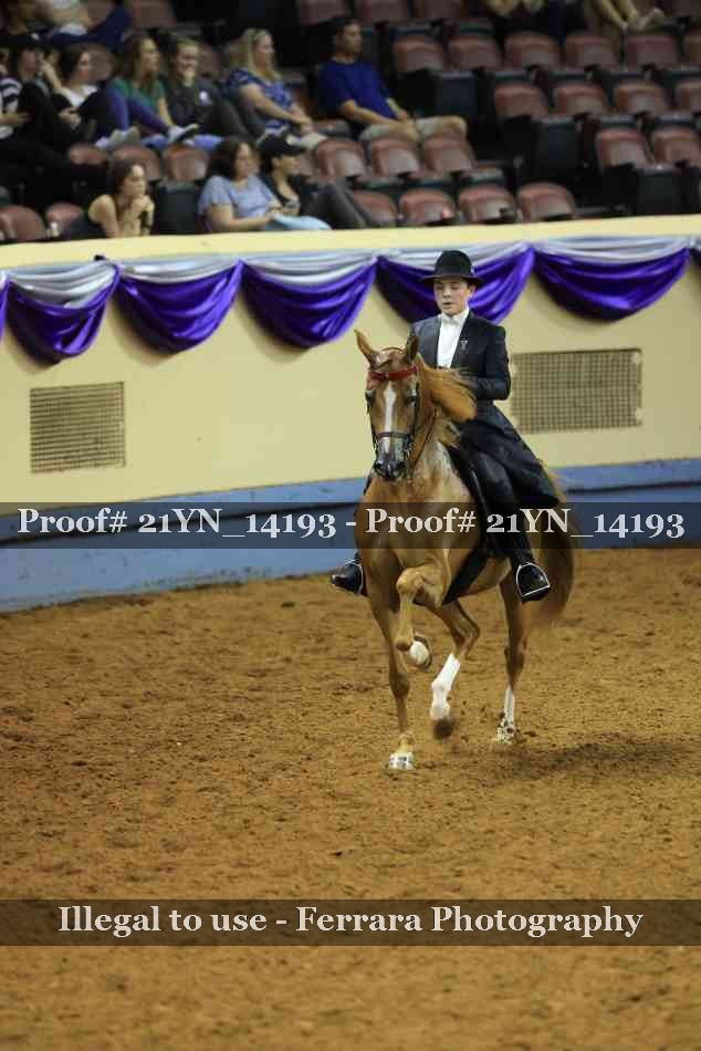 Proof 21YN_14193