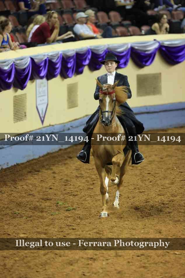 Proof 21YN_14194