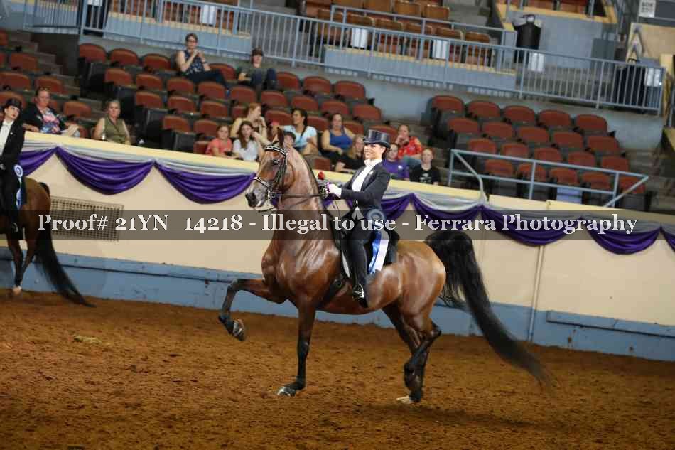 Proof 21YN_14218