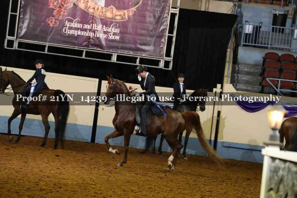 Proof 21YN_14239