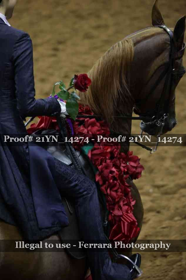 Proof 21YN_14274