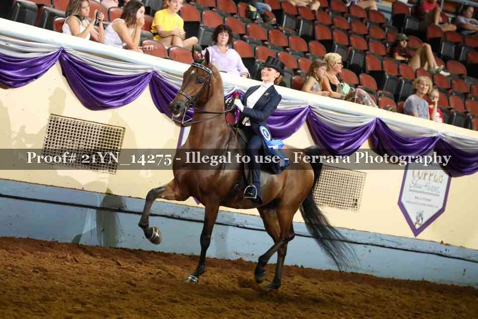 Proof 21YN_14275