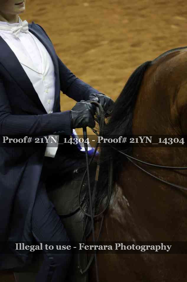 Proof 21YN_14304