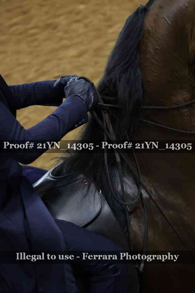 Proof 21YN_14305