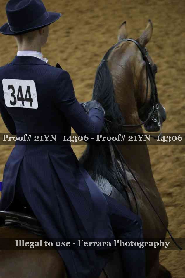Proof 21YN_14306