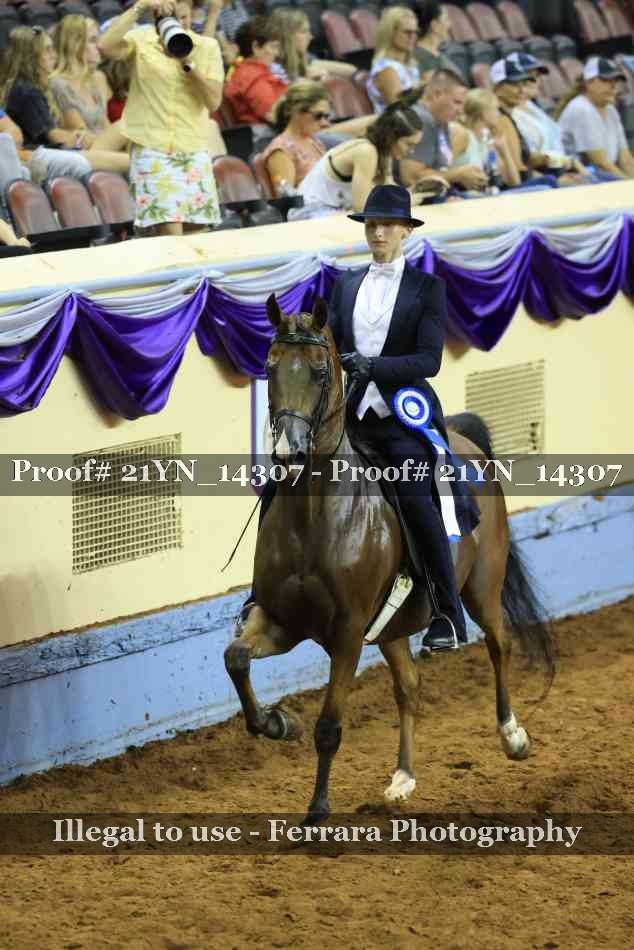 Proof 21YN_14307