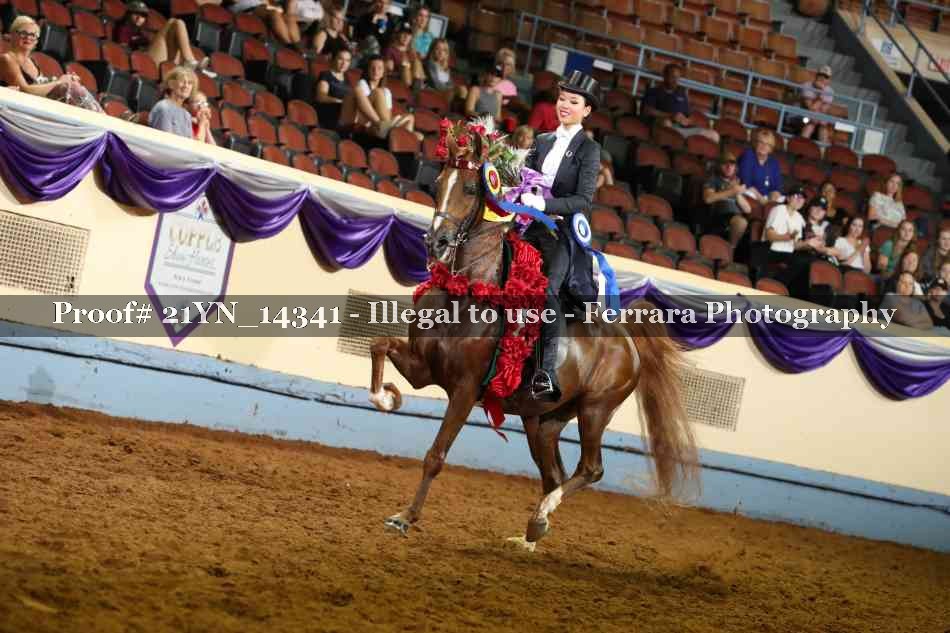 Proof 21YN_14341