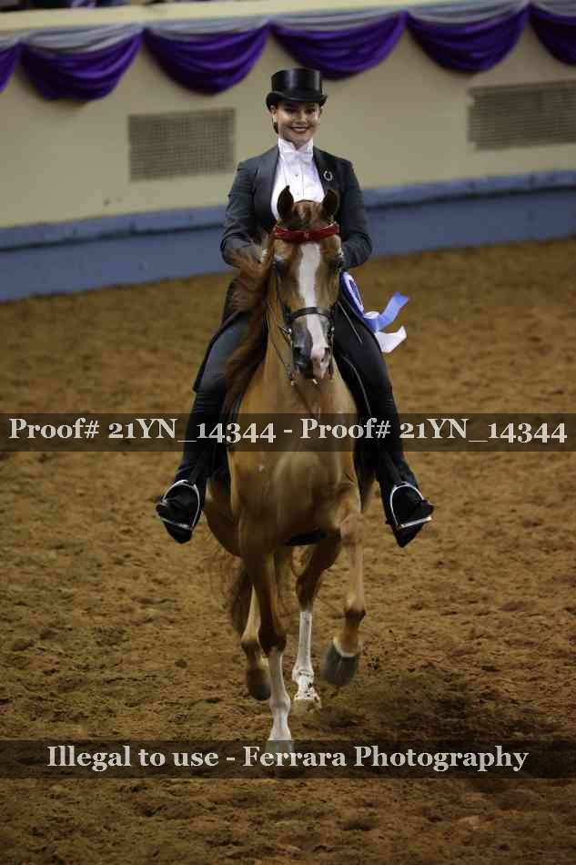 Proof 21YN_14344