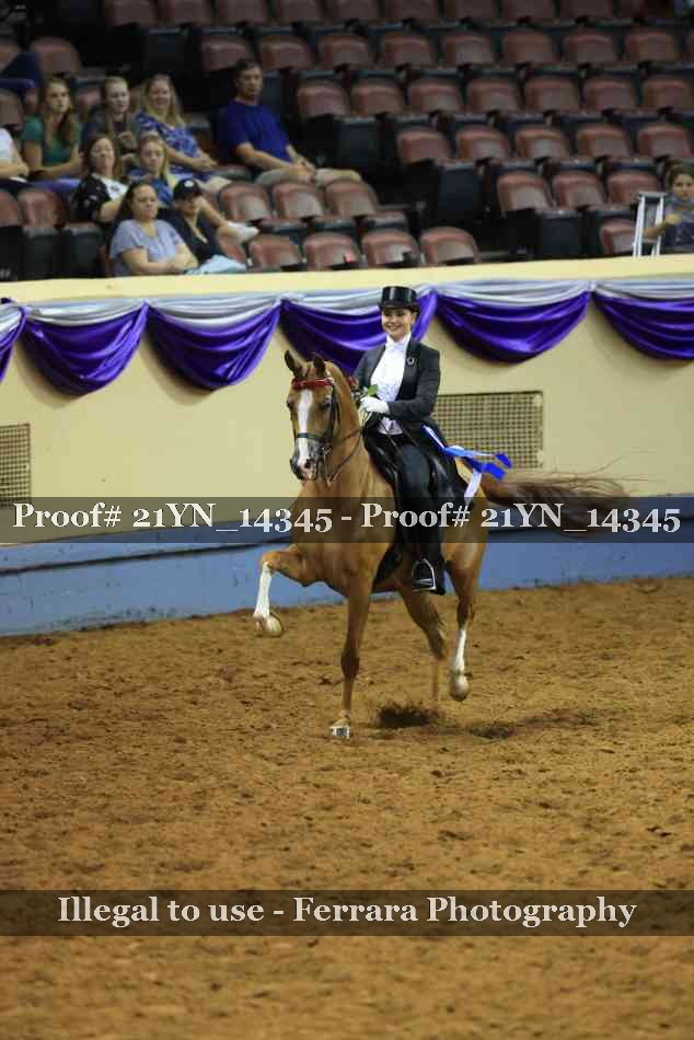 Proof 21YN_14345