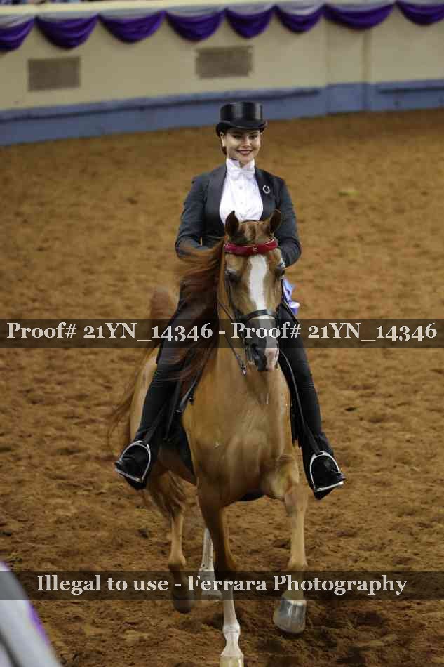 Proof 21YN_14346