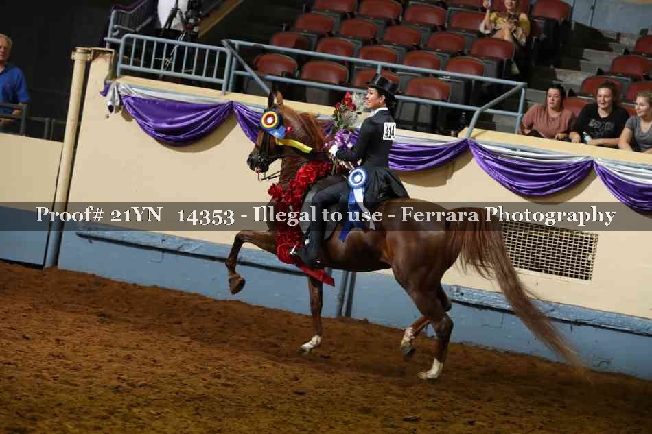 Proof 21YN_14353