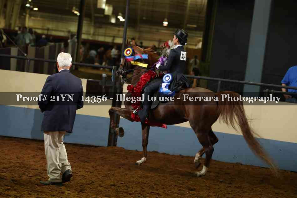 Proof 21YN_14356