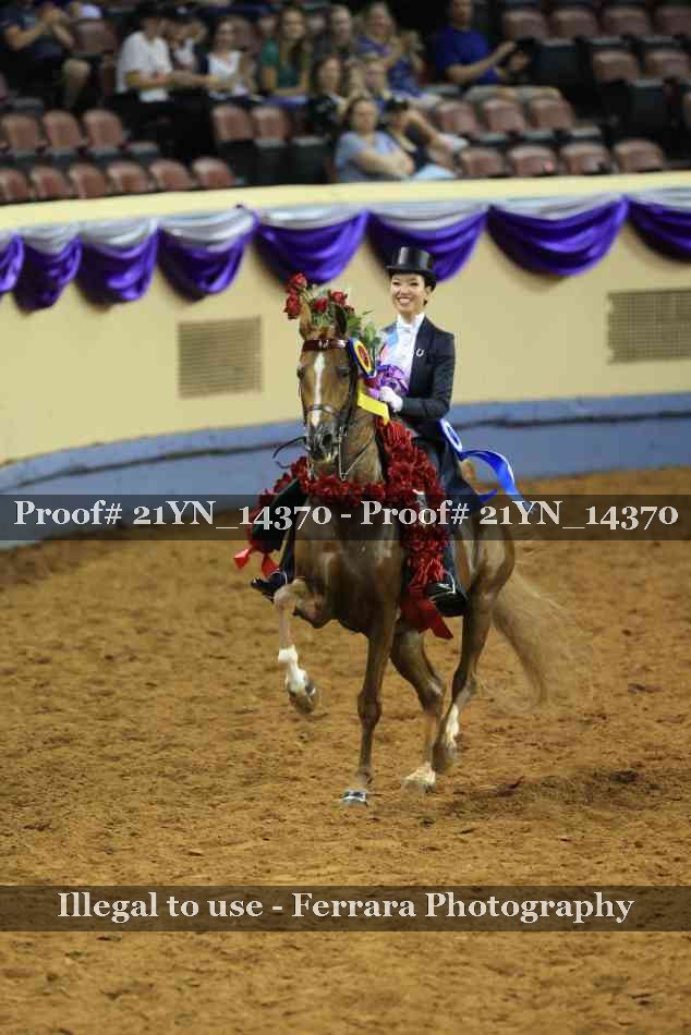 Proof 21YN_14370