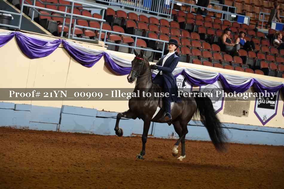 Proof 21YN_00909