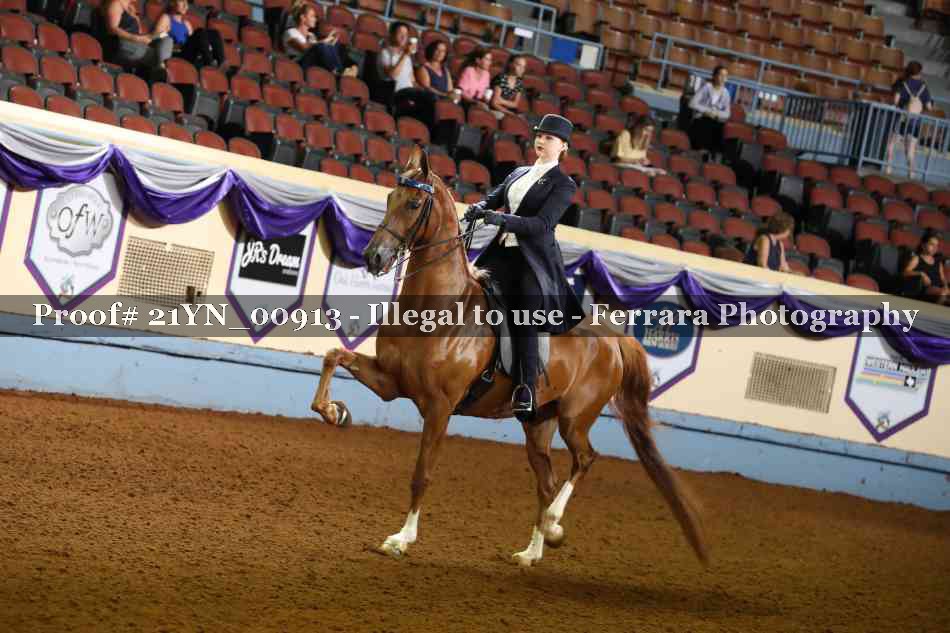 Proof 21YN_00913