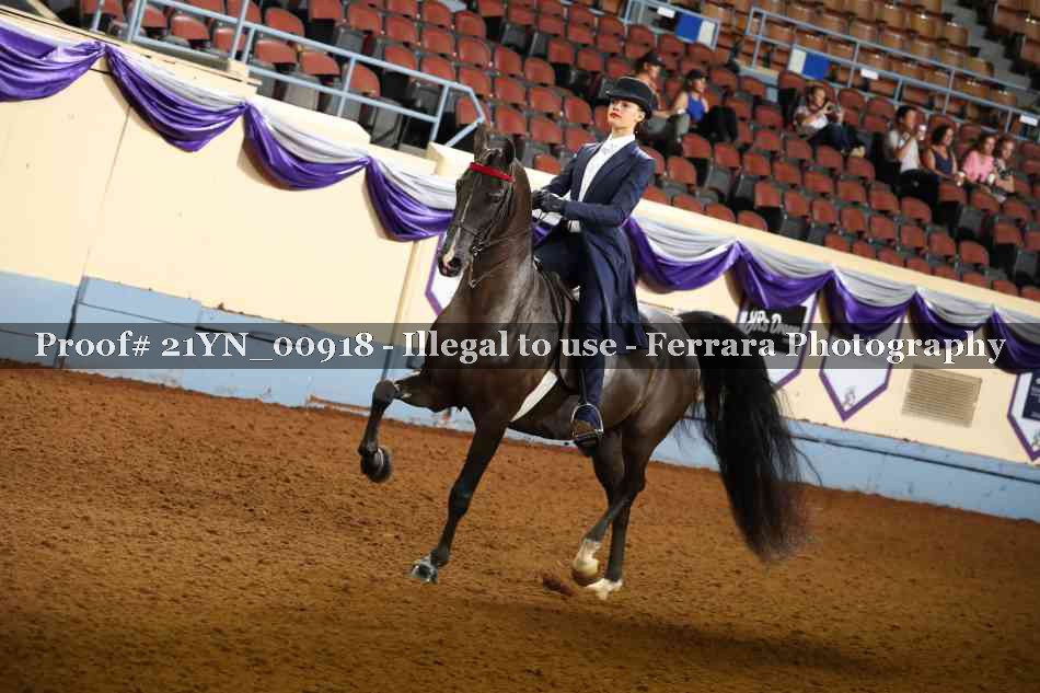 Proof 21YN_00918