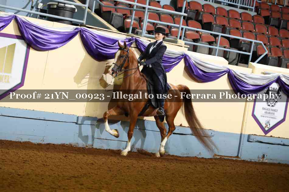 Proof 21YN_00923