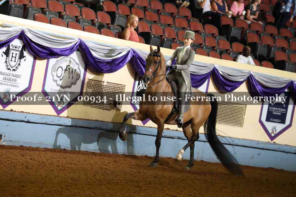Proof 21YN_00934