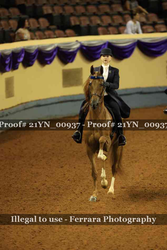Proof 21YN_00937