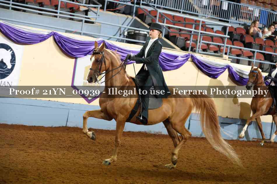Proof 21YN_00939