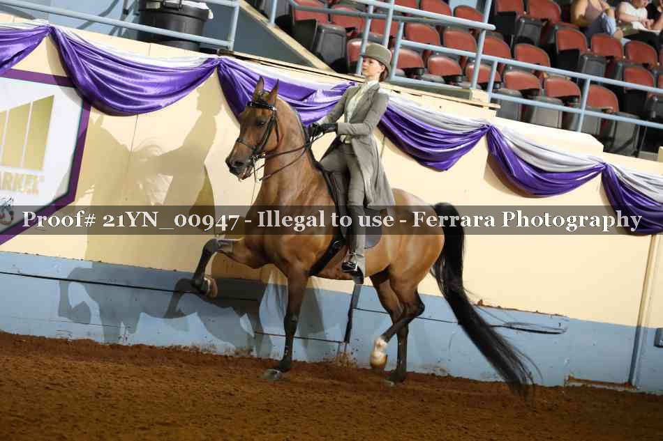 Proof 21YN_00947