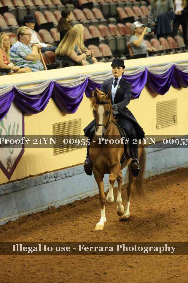 Proof 21YN_00955