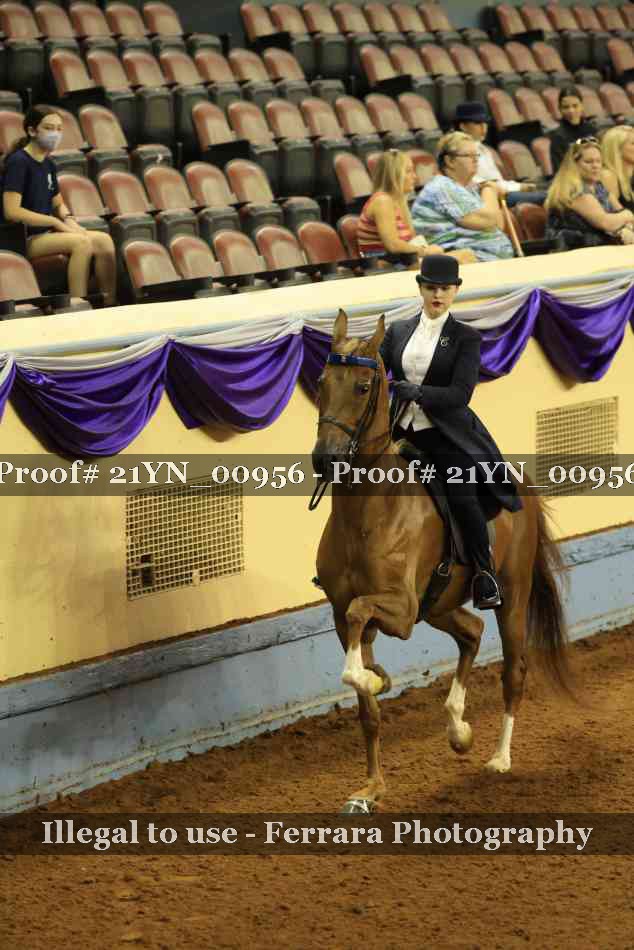 Proof 21YN_00956