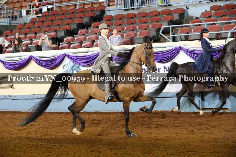 Proof 21YN_00959