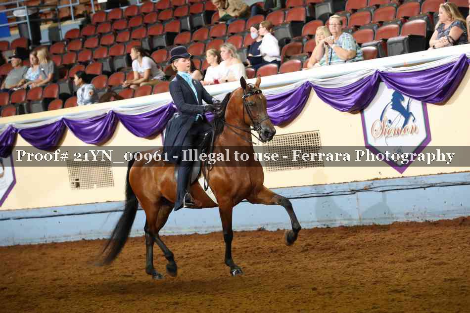 Proof 21YN_00961