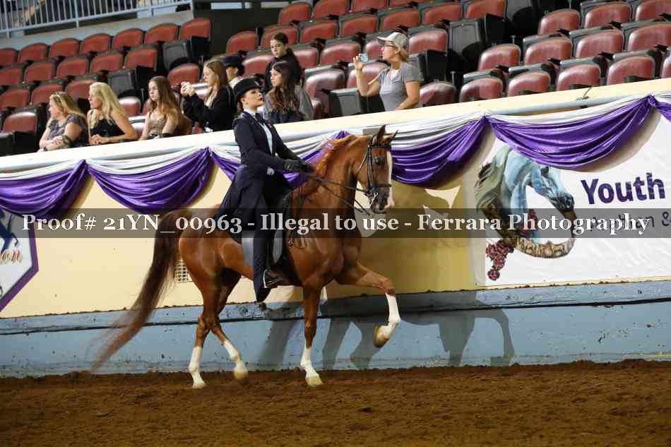 Proof 21YN_00963