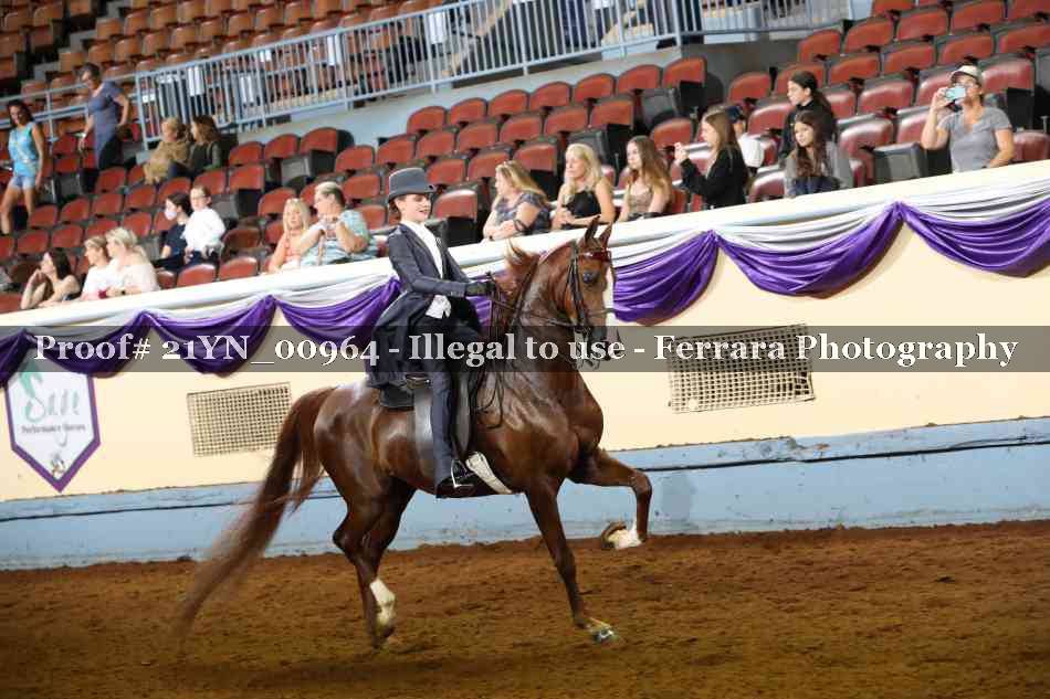 Proof 21YN_00964