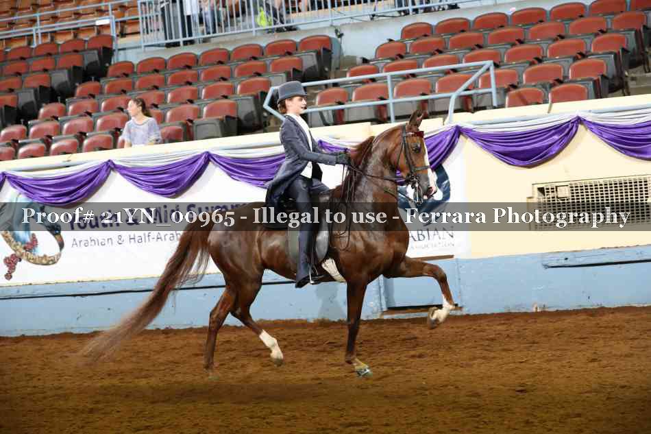 Proof 21YN_00965