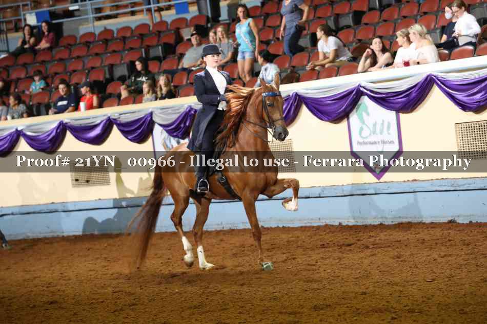 Proof 21YN_00966