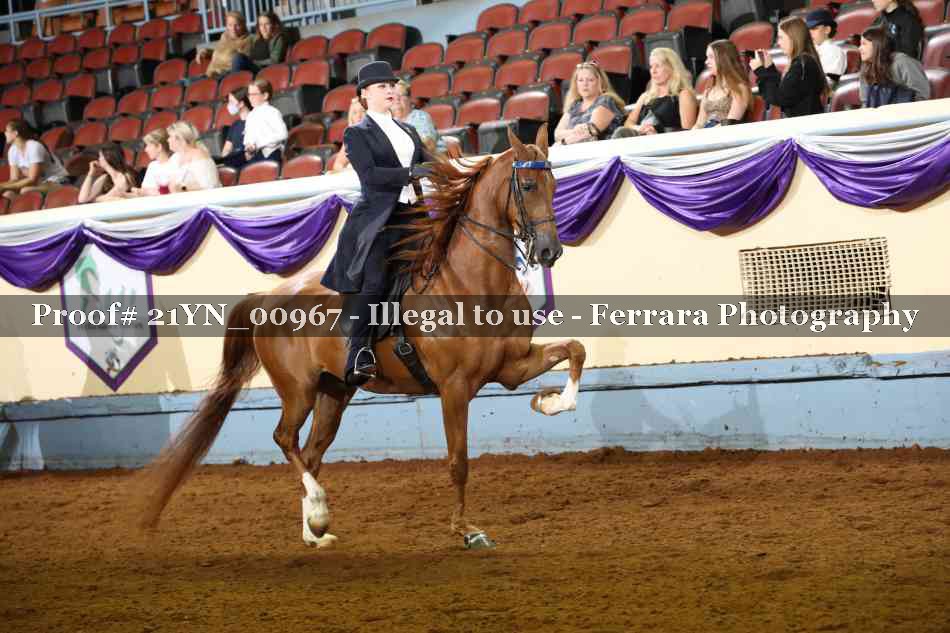 Proof 21YN_00967