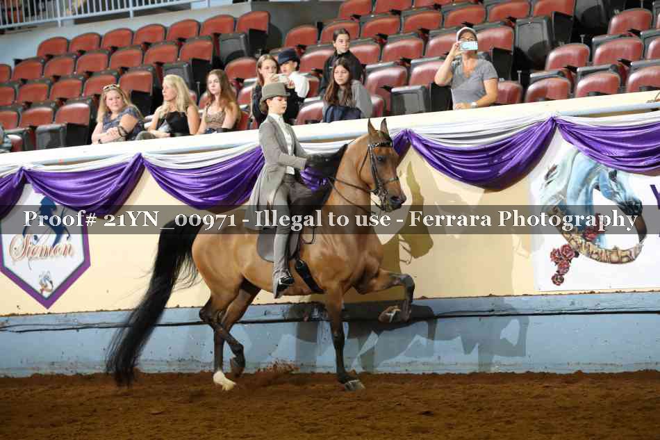 Proof 21YN_00971