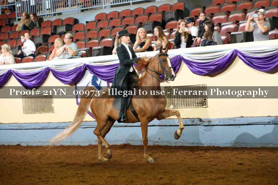 Proof 21YN_00973