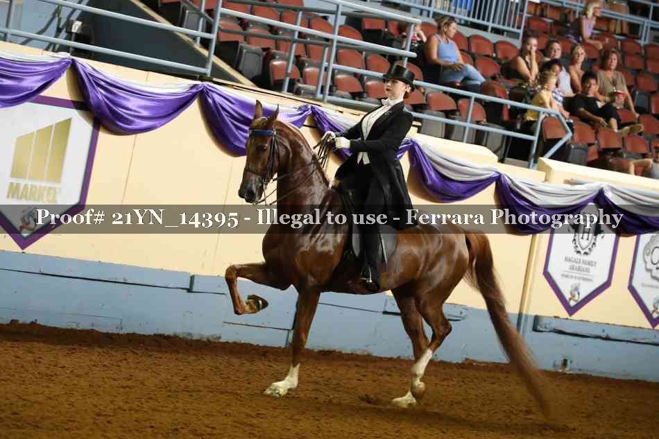 Proof 21YN_14395