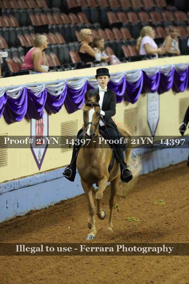 Proof 21YN_14397