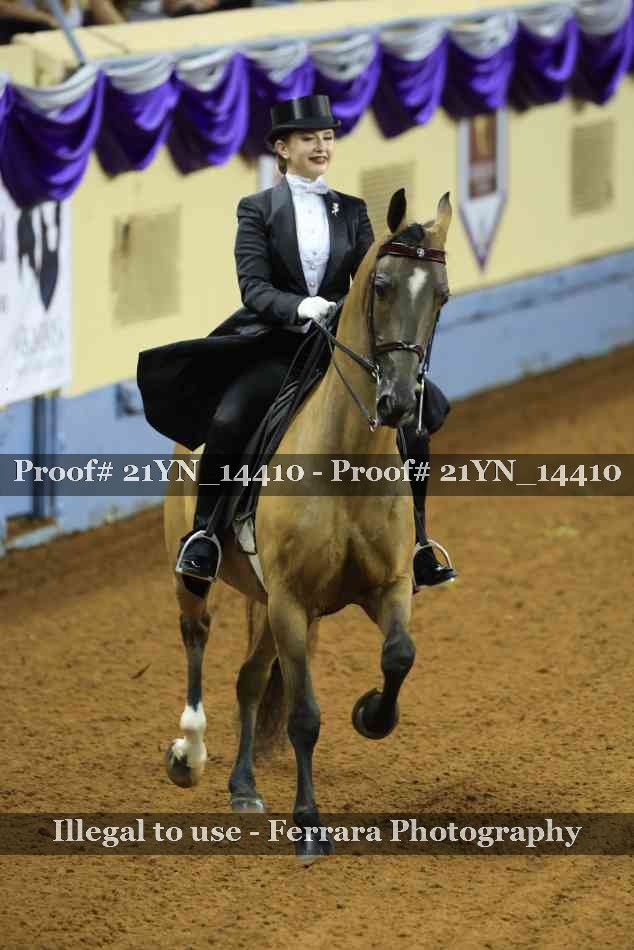 Proof 21YN_14410